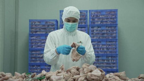 食品安全再上新臺階 叮咚買菜盱眙工廠通過FSSC體系認(rèn)證與潤滑油銷售管理