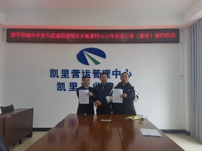 貴州高速集團交通物流集團牽線搭橋，板寨村300畝紫米簽訂單助力鄉(xiāng)村振興